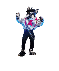 Bull Dog Dance Sticker by Televisora Nacional S.A.