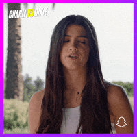 Dixie Snaporiginals GIF by Snap