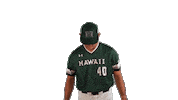 College Baseball Sticker by Hawaii Athletics