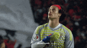 sl benfica kiss GIF by Sport Lisboa e Benfica