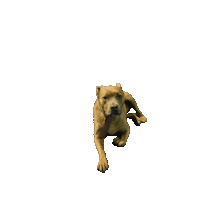 packathleticscharleston dog white puppy cheer Sticker