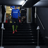 Fall Lol GIF by Bayer 04 Leverkusen