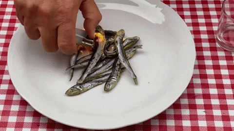 atiliodoreste giphygifmaker sonidos enyesque atilio doreste GIF