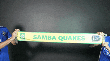 Brazil Samba GIF by San Jose Earthquakes