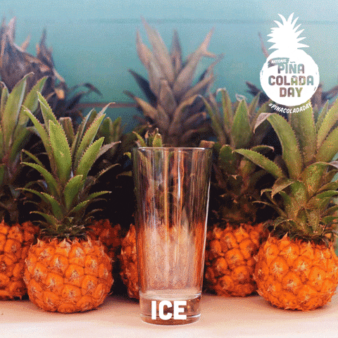 Summer Drinks GIF by Malibu Rum