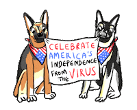 Independence Day Summer Sticker by Creative Courage