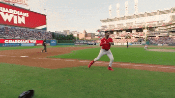 Celebrate Home Run GIF by MLB