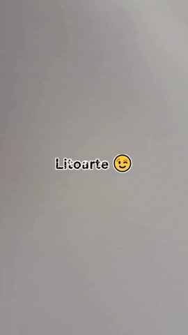 Litoarte artesanato scrap scrapbooking scrapbook GIF