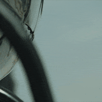 mcquaid GIF by Covert Affairs