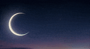 EclipseFND witch cow everything eclipse GIF