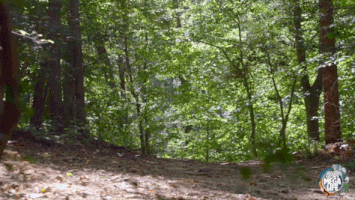 jagger eaton GIF by Nickelodeon