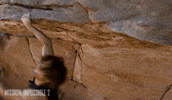 Tom Cruise Mi GIF by Mission: Impossible