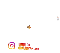 Nidhireads Sticker by BORN ON INSTAGRAM
