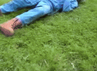 Frejap GIF