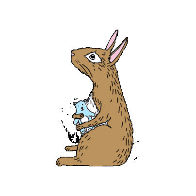Jimbobart giphygifmaker illustration animal bunny Sticker