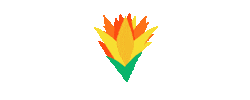 Orange Flowers Sticker by Latitude Festival