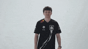 Celebration Racing GIF by G2 Esports