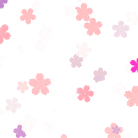 May Cherry Blossoms Sticker by junjun_pontan