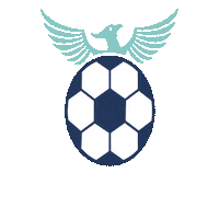 risesoccerclub together we rise rise soccer club rise sc always rise Sticker
