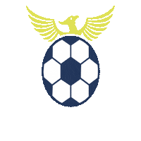risesoccerclub together we rise rise soccer club rise sc always rise Sticker