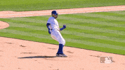 Regular Season Sport GIF by MLB