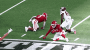 College Football Interception GIF by Arkansas Razorbacks
