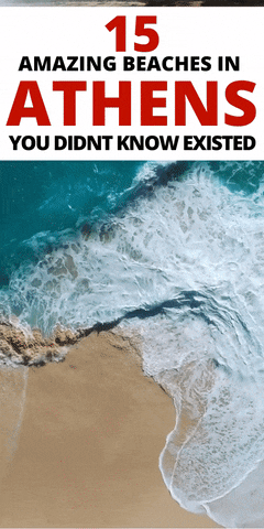 BaeBees giphyupload travel holiday vacation GIF