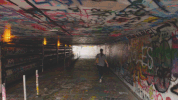 street art graffiti GIF by University of Florida