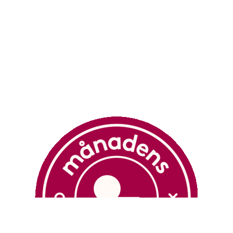 SmartaSaker giphygifmaker smartasaker månadens innovatör Sticker