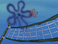season 1 GIF by SpongeBob SquarePants