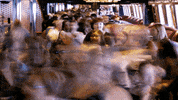 season 1 GIF by Rock This Boat: New Kids On The Block