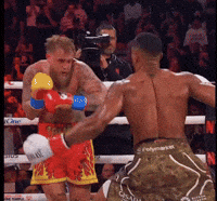 Knockout Boxing GIF