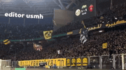 mahmoudsqdk usmh editor usmh editorusmh GIF