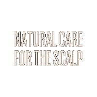 Bbb Scalp Sticker by BETTERBEBOLD