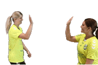 Handball Sticker by HC Gelpe/Strombach