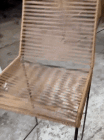 GIF animado