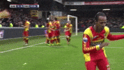 gaeagles goal antonia GIF