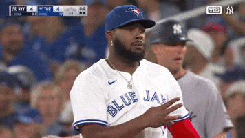 Blue Jays Sport GIF by MLB