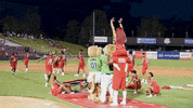 Gocougs GIF by Kane County Cougars