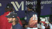 baseball GIF by Kane County Cougars