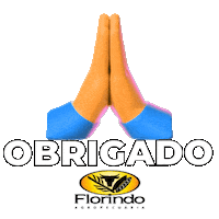 grupoflorindoagropecuaria florindo agropecuária obrigado florindo agropecuária high-five florindo agropecuária Sticker