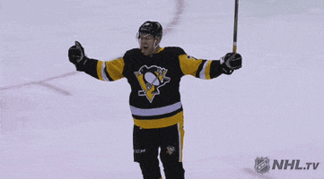happy ice hockey GIF by NHL