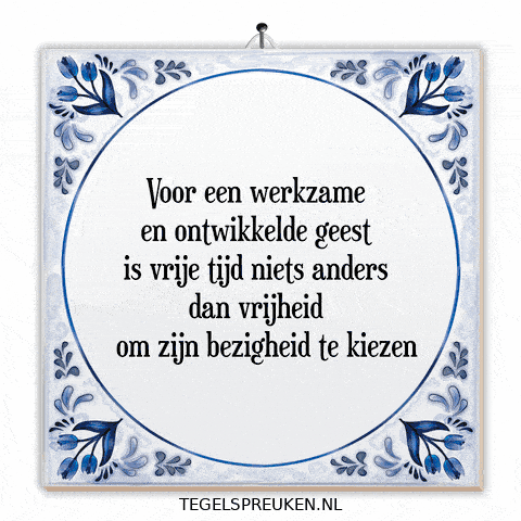 Focus Nl GIF by Tegelspreuken.nl