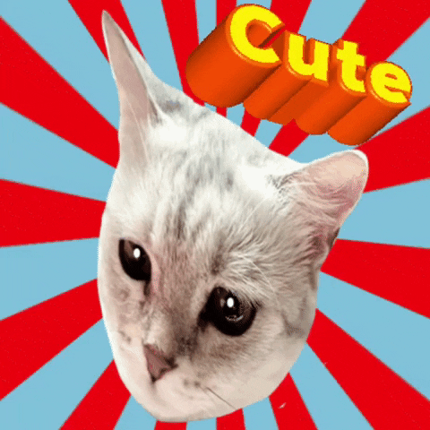 Publichild GIF