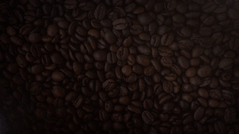 Good Morning GIF by Berk's Beans Coffee