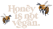 Vegan Bee Sticker