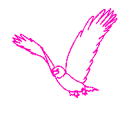 Illustration Bird Sticker by sgnightfest