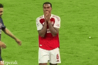 Brazil Champion GIF