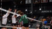 athletics volleyball GIF by GreenWave