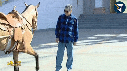 hronikatm giphyupload turkmenistan turkmen GIF